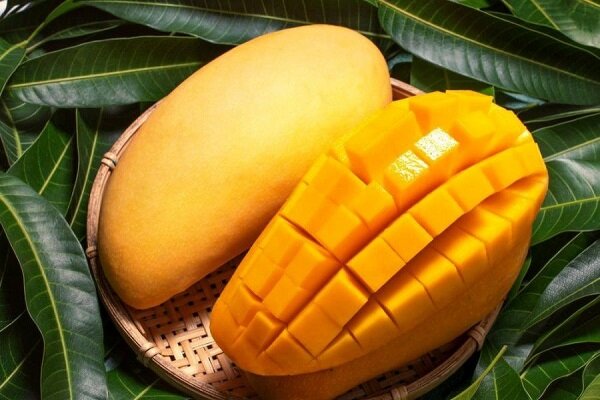 سلطان میوههای استوایی با خواص بینظیر برای بدن