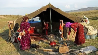 به مناسب 15 مهر، روز روستا و عشایر و بر اساس نتایج سرشماری عمومی کشاورزی 1403