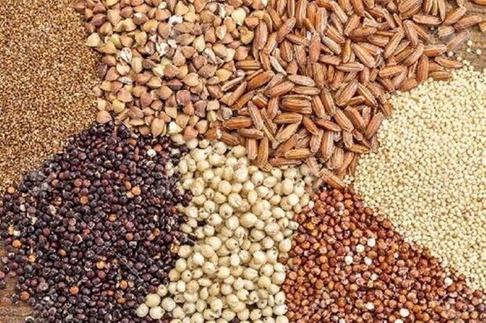 نهاده دامی احتکار شده