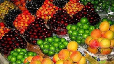 اتحادیه بارفروشان، قیمت میوه، افزایش صادرات میوه، نوسان نرخ ارز، بازار میوه، التهاب بازار، میوه گران، ممنوعیت صادرات، اکبر یاوری، میوه و تره بار، قیمت گیلاس، قیمت هندوانه